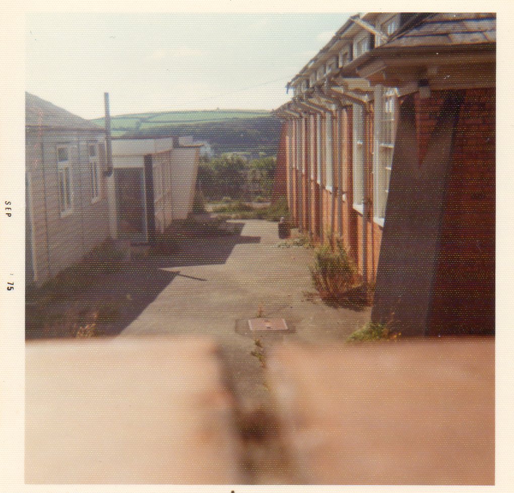 School images
